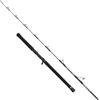 PENN Canna Regiment IV Jig Cast, pesca d'acqua salata Pesce di mare Merluzzo, Spigola, Pollock, Sgombro, Squalo, forte peso leggero e versatile, Argento 1,84m Canna veloce ambidestra