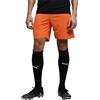 PUMA Pantaloni Corti Teamrise Training Shorts Adulto