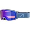 ALPINA Nakiska Q Occhiali da sci Unisex - Adulto (Pacco da 1)