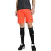 Puma - Teamliga Shorts, Pantaloncini Uomo