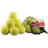 Rosewood 12 palline da tennis standard, giocattoli per cani