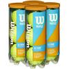 Wilson Profile all Court - Palline da Tennis, Confezione da 4 lattine