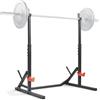 Sunny Health & Fitness Regolabile Squat Rack per Casa Forza Allenamento