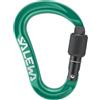 Salewa Ortles HMS Moschettone S