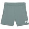 PUMA Ess No. 1 Logo Shorts TR PS, Pantaloncini Lavorati a Maglia Bambino, Green Moon,