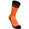The North Face Trail Run Sock Crew Calzini Unisex - Adulto (Pacco da 1)