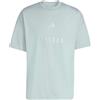 adidas All Szn Embroidered Graphics T-Shirt Maglietta Grafica (Manica Corta) Uomo (Pacco da 1)