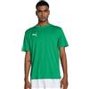 Puma Teamgoal Jersey Tee Uomo