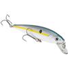 Strike King KVD Jerkbait 2 ami