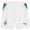 PUMA BMG Shorts Replica
