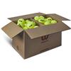 Wilson TRINITI CLUB TBALL 72 BALL BOX - C: YELLOW
