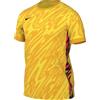 Nike M Nk DF Gardien V GK JSY SS Maglia Lunga Uomo