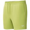 Speedo Men's 16 Watershort Swiming Trunks| Quick Dry | Comfortable Fit | Clasic Style | Drawstring Waist, Electric Lime/Cobalt/Iris Mirror, XS