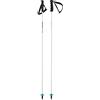 HEAD Worldcup Rebels Carbonio, Bastoncini da Sci Unisex, Bianco, 110 cm