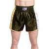 LEONE 1947 Training Pantaloncino Kick-Thai Unisex - Adulto, Verde, AB760