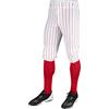 Champro - Triple Crown Baseball Knickers with Pinstripes, Mutandine da Baseball in Poliestere gessato a Tripla Corona Uomo