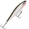 Rapala BX Minnow 10 Fishing Lure