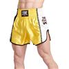 LEONE 1947 Training Pantaloncino Kick-Thai Unisex - Adulto, Giallo, AB760
