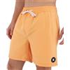 Hurley Boardshort Uomo - Icona Vollley Solid 17'