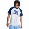 DC Shoes Dcshoes Dc Corpo Raglan Hss T-Shirt Uomo (Pacco da 1)