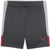 PUMA Shorts da Calcio individualLIGA per Ragazzi 164, Gray Echo Dusky Red