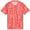 Puma Individualfinal FF, Jersey Jr Maglia da Calcio Unisex - Adulto