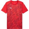 PUMA Teamfinal Graphic Jersey Maglie Uomo (Pacco da 1)