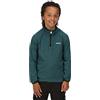 Regatta Loco Felpa in Micopile A Mini Righe, con Trattamento Anti Pilling, con Cerniera sul Collo Fleece Unisex - Bambini e Ragazzi