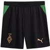 PUMA BMG Shorts Replica