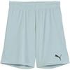 Puma - Teamgoal Shorts Jr, Pantaloncini Lavorati a Maglia Unisex - Adulto