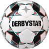 Derbystar Unisex Ragazzi S-Light Palla per il tempo libero
