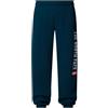 THE NORTH FACE NF0A89DP1NO1 Men's Pant Varsity Graphic Pantaloni Sportivi Uomo Midnight Petrol Taglia XS