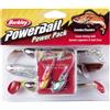 Berkley PowerBait Pro Pack Linear Fishing; Kit di esche da pesca Predator per tutti i pescatori con PowerBait Ripple Shads & Jigheads; Setup per spinning e jigging, variegato, assortito