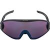 ALPINA 5w1ng Q+vm Occhiali sportivi Unisex - Adulto (Pacco da 1)