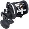 PENN Rival Level Wind Conventional Nearshore/Offshore Fishing Reel, HT-100 Star Drag, Max di 6,8 kg, bobina in alluminio forgiato e lavorato, 20, Multi