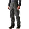 Dare2b Uomo Achieve II Impermeabile Sci Pants Traspirante Antivento Snowboarding Trousers