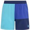 adidas garçon Colorblock Swim Shorts Kids, Lucid Cyan/Semi Lucid Blue, 9-10 Years