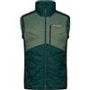 VAUDE Men's Sesvenna Vest Iv Giacca Uomo