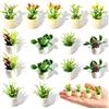 PYSEOSISE 15 Pezzi Piante in Miniatura per Casa delle Bambole, Mini Piante in Vaso Multicolori, Bonsai in Miniatura Piante Artificiali per Giardino Fatato e Decorazione Fai da Te
