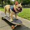 GENERIC Skateboard Per Animali Domestici Con Supporto Da Surf, Design Completo Per Cani E Altri Animali, Ruote In Pu Colorate, Skateboard In Legno Per Allenamento Di Surf Per Cuccioli Di Bulldog 3