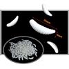 Senven 100Pcs artificiale pane vermi, esca in silicone morbido bionico, pesca al verme, esca simulata, Plastica morbida ecologica - latteo.