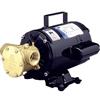 Jabsco Pompa di sentina Water Puppy 2000 24 Volts