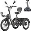 Fafrees Triciclo Elettrico per Adulti e Anziani Rimovibile Batteria 48V 25Ah E-Bike a 3 Ruote Pieghevole, Sensore di Coppia, Carico 180kg, Specchietti, Freni Idraulici e Frecce