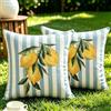 Dokeleen Federe Cuscini Divano 40x40 Antimacchia Impermeabile Poliestere Lavabili Strisce Azzurro Motivo a Limoni Atmosfera Vacanziera Primavera Estate Copricuscini per Soggiorno Casa Balcone Colonica Patio