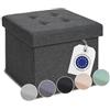 Blumtal panca contenitore - panca camera da letto 41x31x31 cm - pouf contenitore camera da letto - puffo per sedersi contenitore - poggiapiedi divano - poggia piedi per divano - pouf salotto antracite