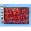 Brizzolari 70 pz. Coccarde Stelle Grandi 19mm Autoadesive Rosso Metallizzato 04