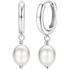 Dochais Orecchini a Perno in Argento Sterling S925 Placcato in Oro 14K Delicati Orecchini a Goccia Pendenti Leggeri Orecchini Per Dormire Ipoallergenici Per Donne Ragazze (argento4)