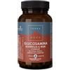 FORLIVE Srl terranova complesso di glucosamina boswellia e msm 50 capsule