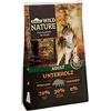 Dehner Wild Nature Cani crocchette sotto Legno Adult, Cinghiale