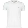 LACOSTE Uomo Lacoste T-shirt Logo In Cotone Pima Bianca